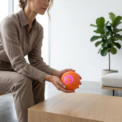 Self-Rolling Dog Ball for Interactive Play