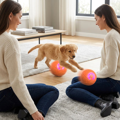 Self-Rolling Dog Ball for Interactive Play