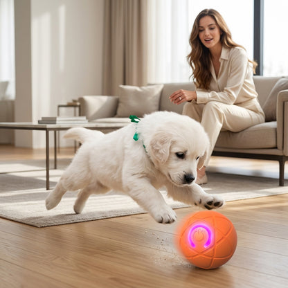 Self-Rolling Dog Ball for Interactive Play
