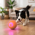 Self-Rolling Dog Ball