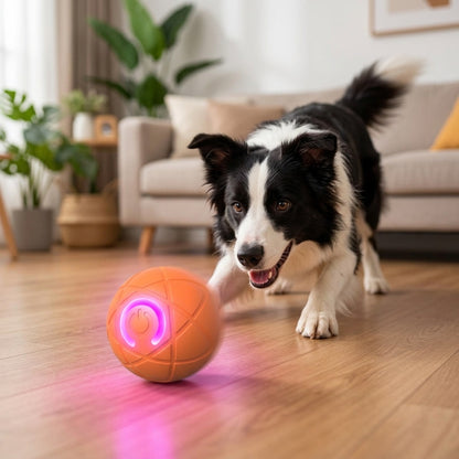 Self-Rolling Dog Ball for Interactive Play
